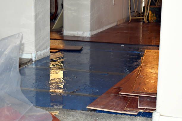 Professional Water Damage Restoration technician working in Hico, TX